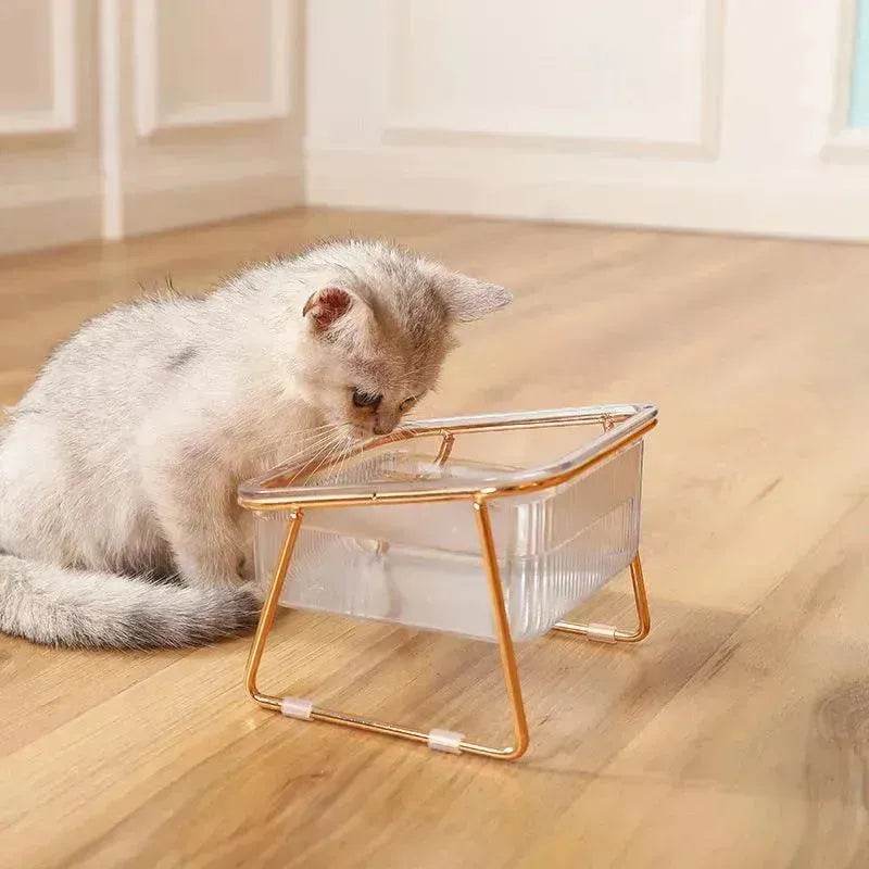 Neck-protecting sloped pet feed bowl Stand - EX-STOCK Canada