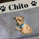 Personalized Pet Dog Toy Storage Basket Canvas Foldable Bag - EX-STOCK Canada