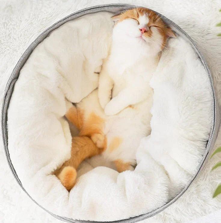 pet bed EX-STOCK Canada