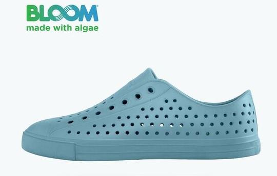 Native Jefferson Bloom - EX-STOCK Canada