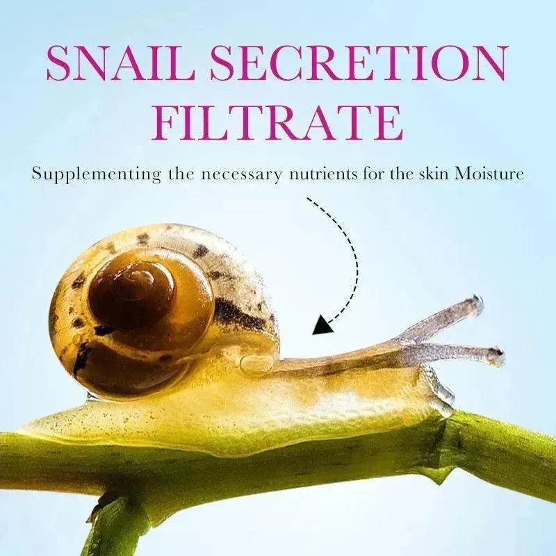 Snail Recombinant Collagen Anti-wrinkle Face Cream - EX-STOCK Canada