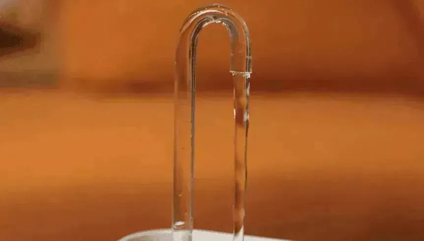 Dispensador de agua para mascotas y filtro de agua con fuente - EX-STOCK CANADA