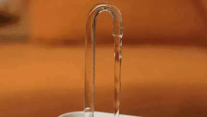 Pet Water Dispenser & Water Filter with a Fountain - EX-STOCK Canada