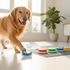 How to Teach Your Dog to Talk Using Recordable Buttons