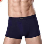 Men's Underwear Boxer Briefs Panties Bamboo Fiber Modal