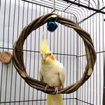 Bird Standing Frame Rattan Ring Chewing Toy Bird Cage EX-STOCK Canada 