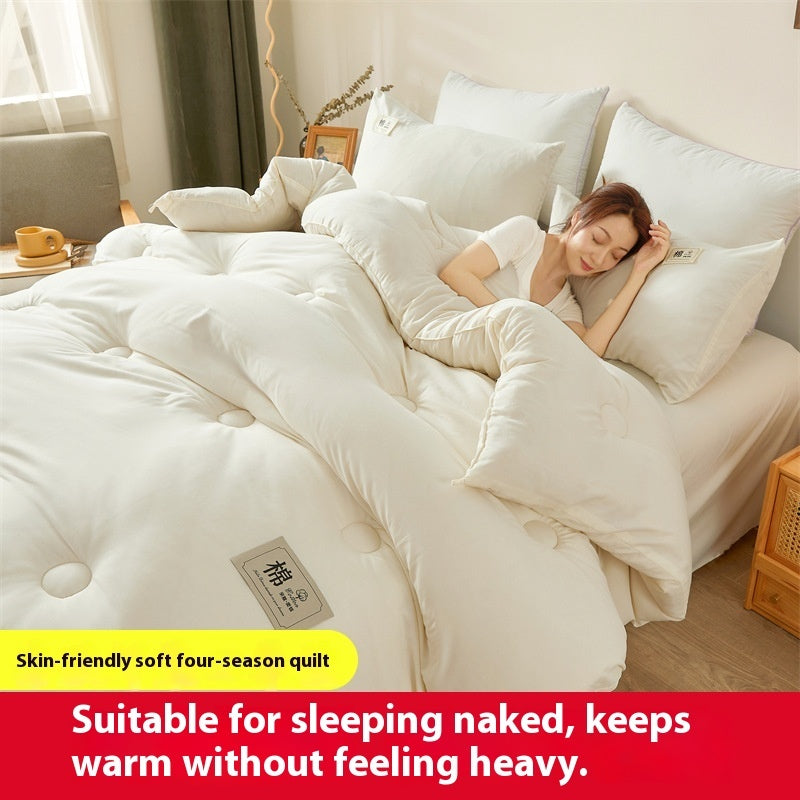 Airable Cover Double Thickened Cotton Duvet Insert EX-STOCK Canada 