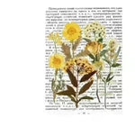 Plant hand account decoration DIY stickers - EX-STOCK CANADA