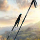 Two black folding hiking poles with blue accents and wrist straps, shown leaning on a rock with a blurred mountain landscape in the background. Text at the top describes the poles as foldable, convenient, easy to store, compact, and portable.