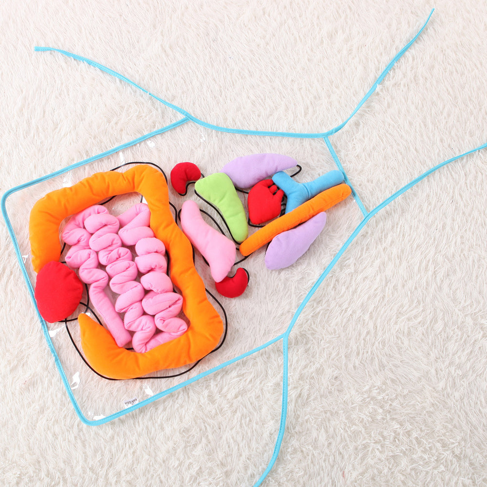 Colorful toy set resembling human digestive system on a white background