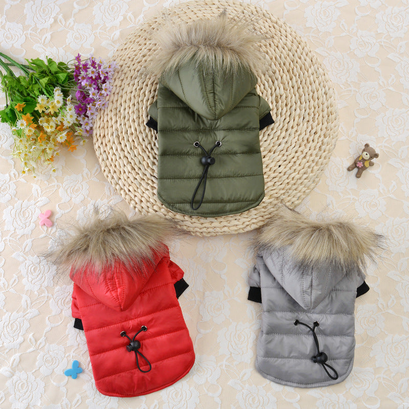 Pet clothing winter down padded jacket | EX-STOCK product gallery photo 5