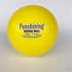 Fitness PU ball 