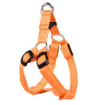 Pet Products LED Luminous Dog Chest Strap Large Dog Luminous Dog Leash EX-STOCK Canada 