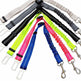 Adjustable Dog Seat Belt Dog Car Seatbelt Harness Leads Elastic Reflective Safety Rope EX-STOCK Canada 