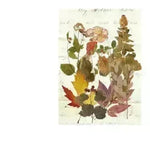 Plant hand account decoration DIY stickers - EX-STOCK CANADA