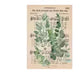 Plant hand account decoration DIY stickers - EX-STOCK CANADA