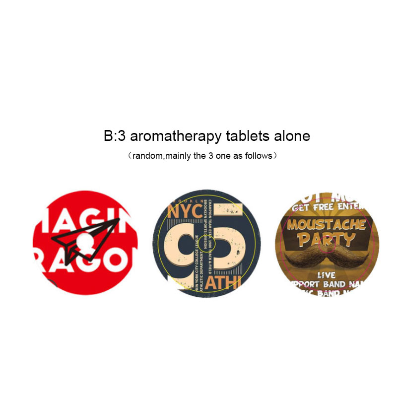 Air Outlet Aromatherapy Record Player Decoration EX-STOCK Canada 