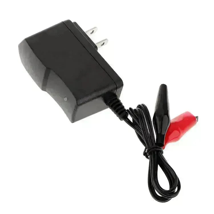 Chargeur de batterie d'acide de plomb de véhicules automobiles