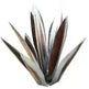 New Cross-Border Iron Art Agave Plant Ornaments Agave Garden Ornaments - EX-STOCK CANADA