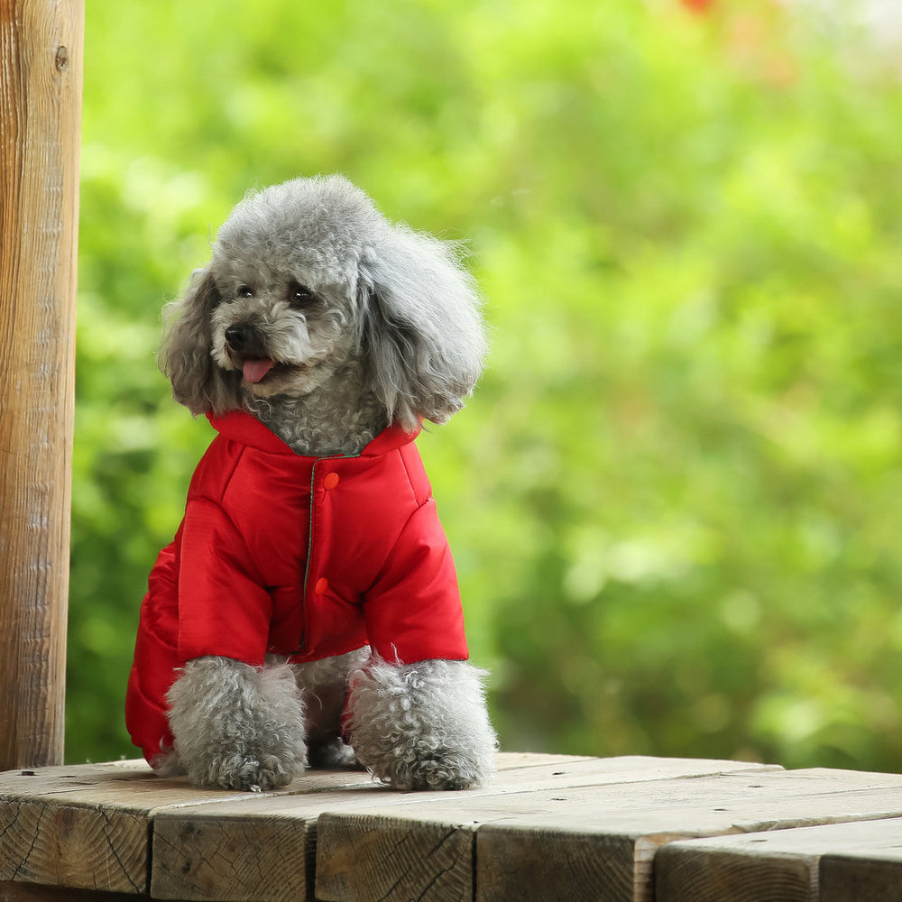 Dog Clothes Winter Clothes Teddy Autumn And Winter Coats Bichon Pomeranian Small Dogs Spring And Autumn Down Coats | EX-STOCK product gallery photo 6