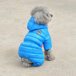 Dog Clothes Winter Clothes Teddy Autumn And Winter Coats Bichon Pomeranian Small Dogs Spring And Autumn Down Coats | EX-STOCK product gallery photo 5