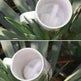 Character Ceramic Middle Finger Cup Coffee Cup With Middle Finger Up EX-STOCK