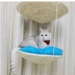 Marco de escalada de gatos litera de gato árbol gato plataforma de salto de salto marco de rasguño de gato