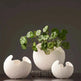Simple white ceramic vase decoration - EX-STOCK CANADA