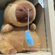 New Capibara Snot Withdraw Doll Doll Plush Toy Capybara Ugly And Cute Pillow Capybara Online Influencer Cute - EX-STOCK CANADA