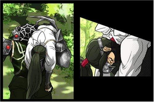 Ninja Gaiden - Dragon Sword 
