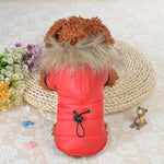 Pet clothing winter down padded jacket | EX-STOCK product gallery photo 1