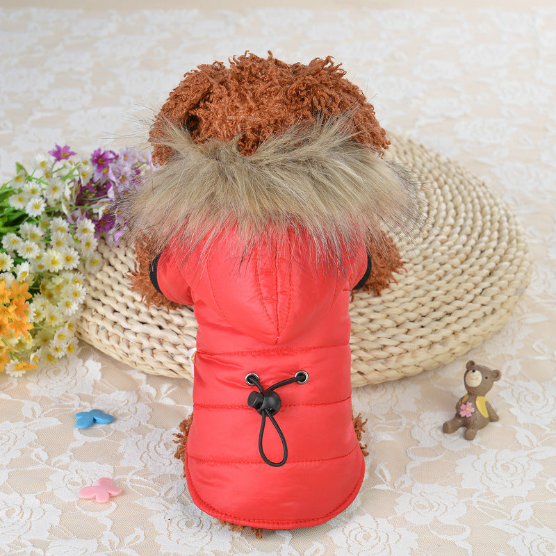 Pet clothing winter down padded jacket | EX-STOCK product gallery photo 1