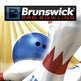 Brunswick Pro Bowling 