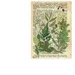Plant hand account decoration DIY stickers - EX-STOCK CANADA