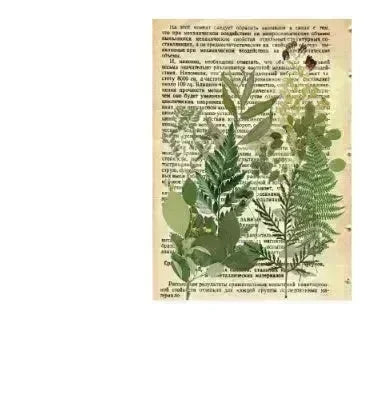 Plant hand account decoration DIY stickers - EX-STOCK CANADA