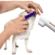Pet Dog Beef Flavor Toothpaste Toothbrush Set Oral Cleaning 