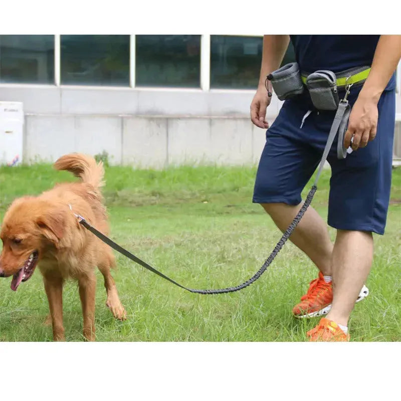Adjustable Hands Free Dog Leash - EX-STOCK CANADA