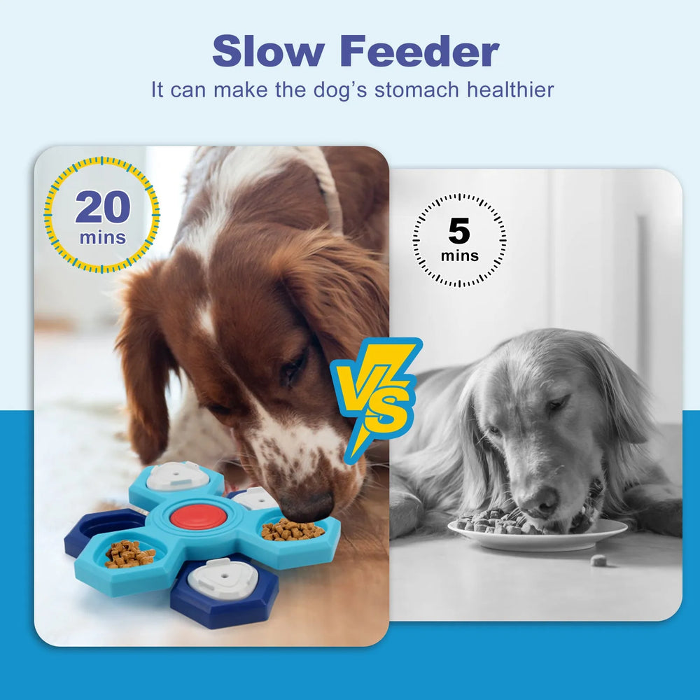 4 Layers Slow Feeder Dog bowl Puzzle feeder toy - EX-STOCK CANADA