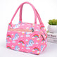 Insulation Bag Portable Lunch Bag Thickened Rice Bag Oxford Cloth Lunch Box EX-STOCK