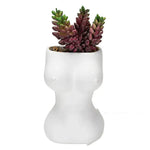 Flower Pots Decorative Ornaments Ceramic Crafts flower vase - EX-STOCK CANADA