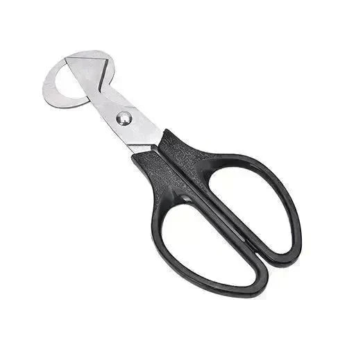 Pigeon Quail Egg Scissor Bird Cutter Opener Kitchen Tool - EX-STOCK CANADA