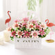 Living Room Set Ornament Hanging Basket Wall EX-STOCK Canada 