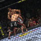 UFC Undisputed 2010 