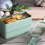 Separate Microwave Oven Light Lunch Box EX-STOCK