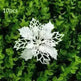Glitter Artifical Christmas Flowers Christmas Tree Decorations For Home Fake Flowers Xmas Ornaments New Year Decor - EX-STOCK CANADA