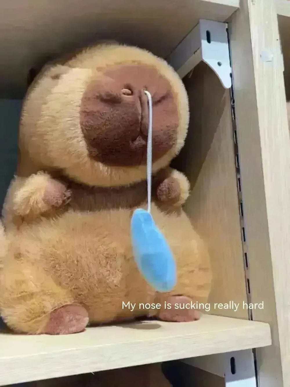 New Capibara Snot Withdraw Doll Doll Plush Toy Capybara Ugly And Cute Pillow Capybara Online Influencer Cute - EX-STOCK CANADA