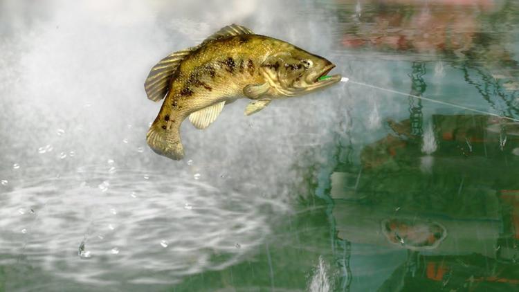 Rapala Pro Bass Fishing With Wireless Controller Fishing Rod 