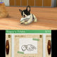 Nintendogs + Cats: Französische Bulldogge & Neue Freunde 