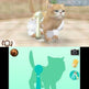 Nintendogs + Cats: Französische Bulldogge & Neue Freunde 