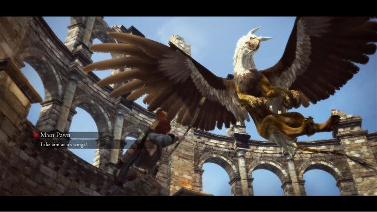 Dragon's Dogma 